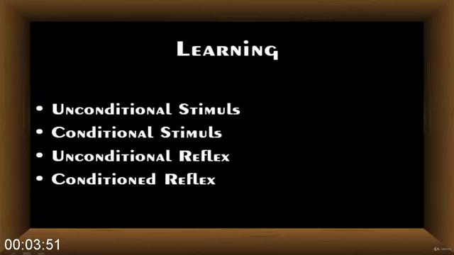 [Image: G-PPsychology-Masterclass.jpg]