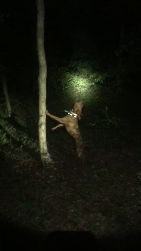 391C4339-7366-424D-886B-D1EE3262F1B0