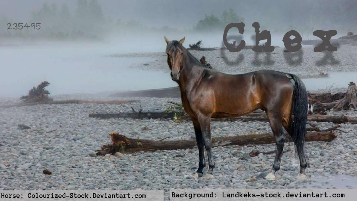 Chex-Manip.jpg