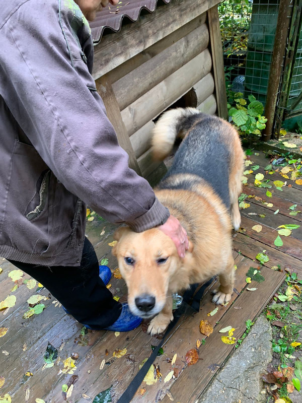 4EF3E970-6C71-49D7-BEC4-2782D8EBBA67