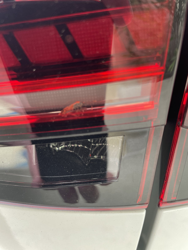 9A4D0EFA-65F1-4FE2-8F61-E7B22FFDF09C