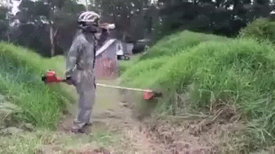 display.gif