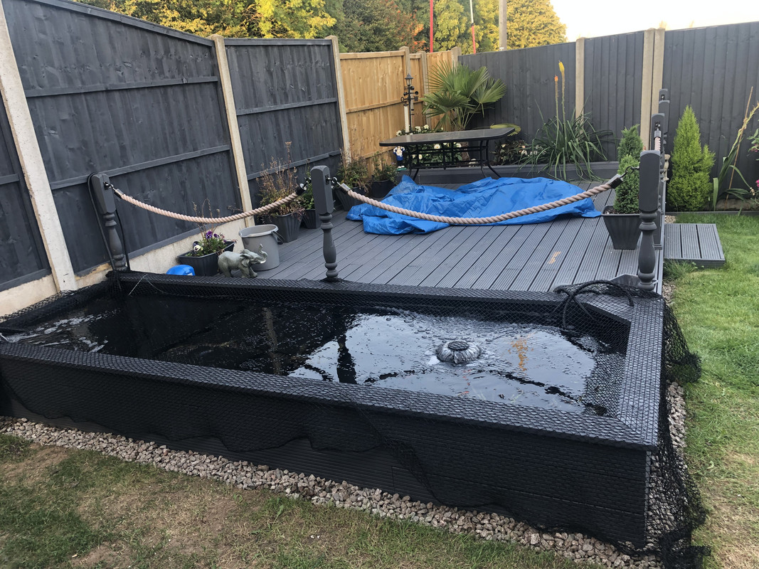 D0DD47A1-0899-4482-852D-7D072C5FADC8