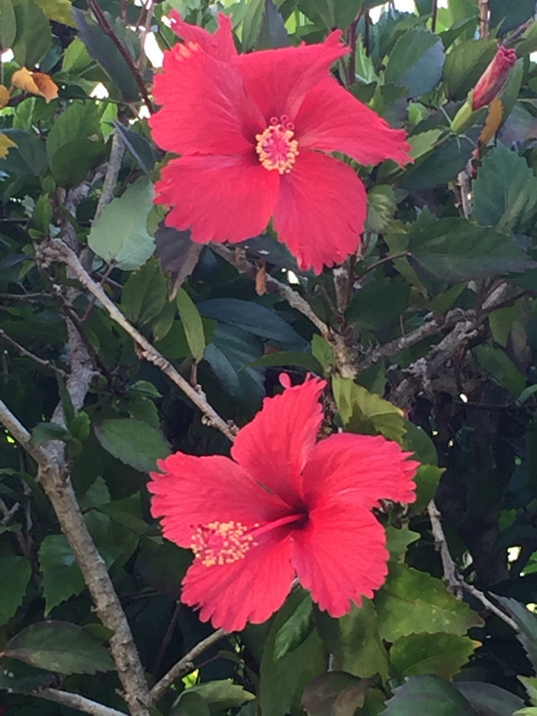 E9073CFD-8BD2-4C8F-8046-94A173463416