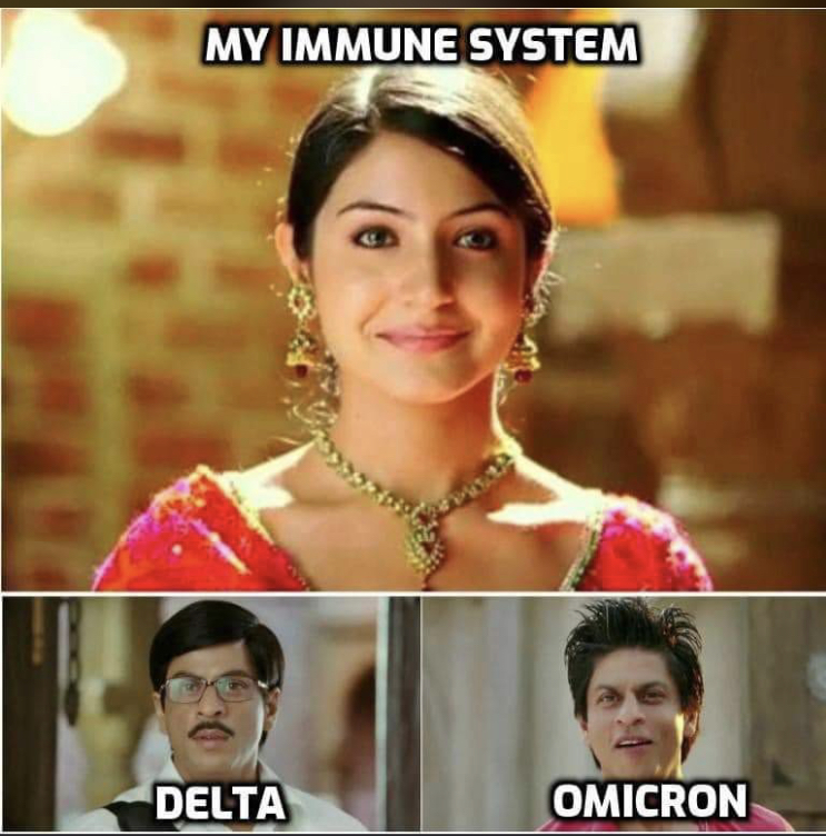 37-D44-C53-34-C7-46-CF-A5-FD-3-CEE16-A78