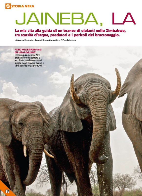 Foc Wil - Dic 2023 (7)