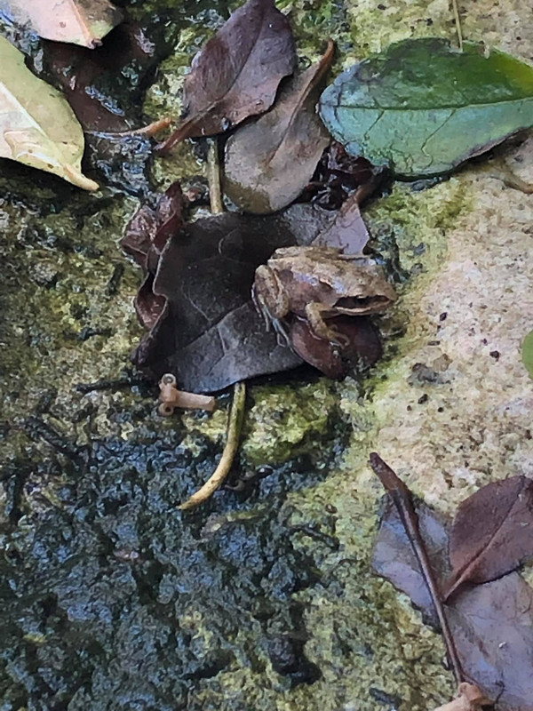 67121754_10157301040312457_1826443698846564352_o