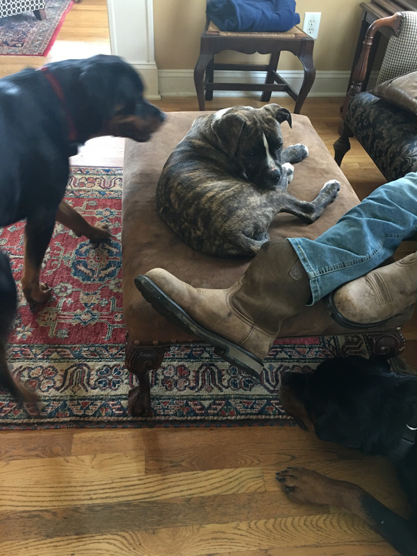 51E62F16-9C66-4EFA-8FFE-E789B69DB10A