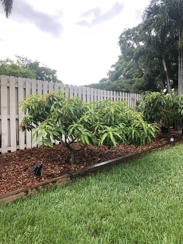 18E53208-C6E4-4715-9598-354E306278C8