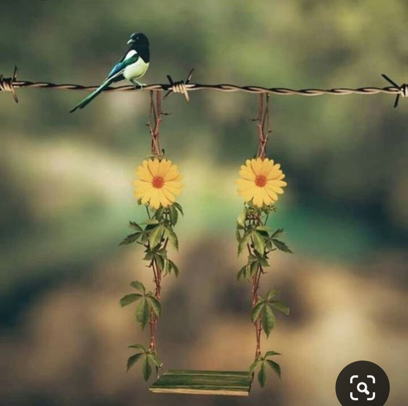 Screenshot_20230403_002702_Pinterest