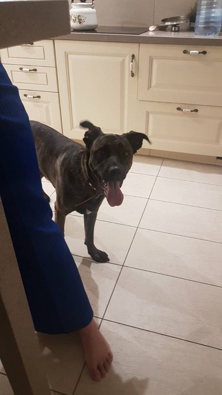 448D4F52-DCBF-4799-80DF-B6A20593C7AD