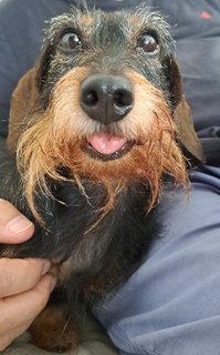 [Image: 8-09-2023.jpg]