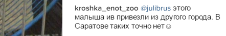 2016-11-06_22-42-31