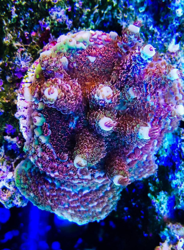 91D25EB9-6FF5-4C88-B1EB-484F5D7C038A