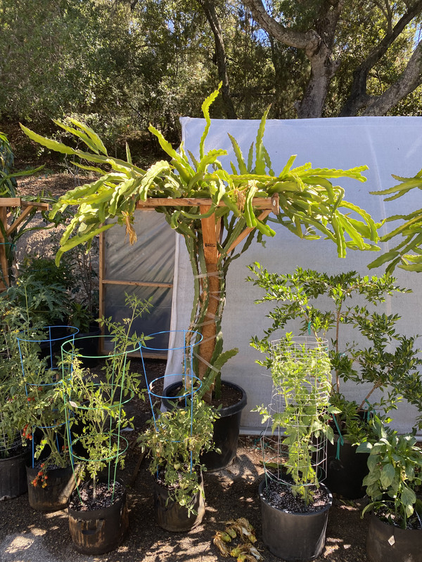 9F80B5C2-FB4C-4E65-9A38-E4B444E3CEC1