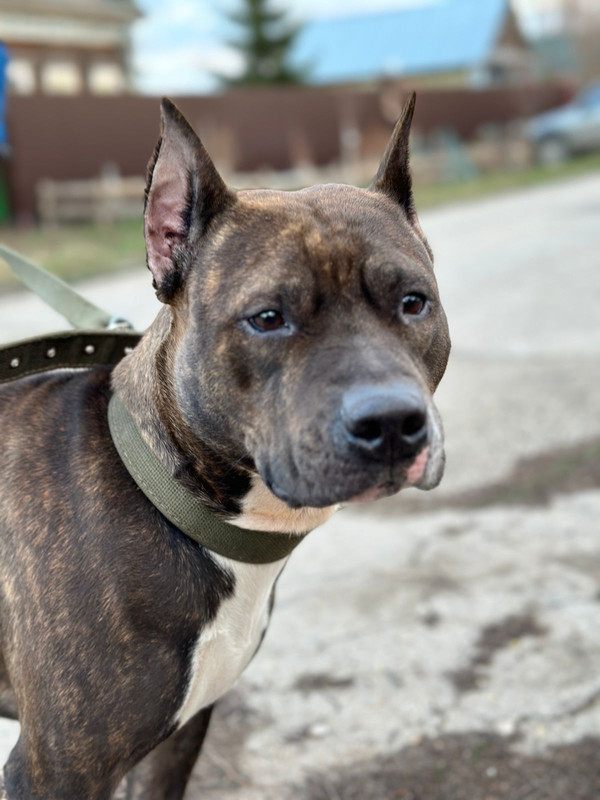 WhatsApp Image 2024-04-14 at 07.58.13 (1)