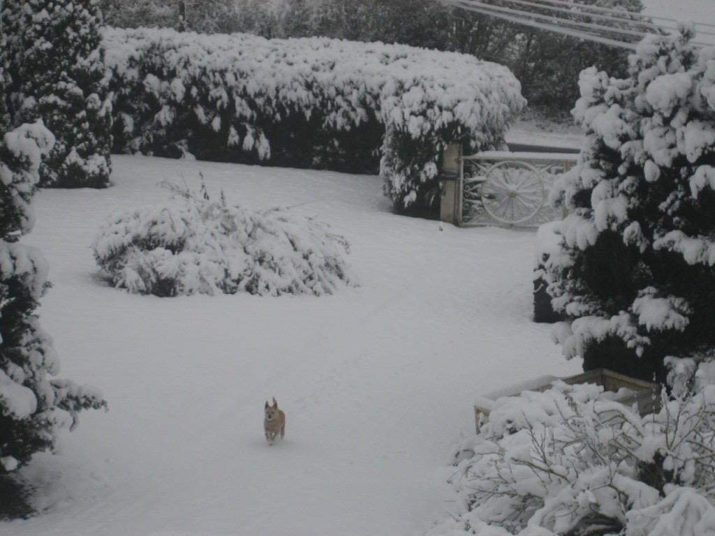 B6B31378-1291-482E-B1D0-9231470BB8A6