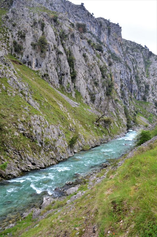 PICOS DE EUROPA-16-5-2013-LEON/ASTURIAS/CANTABRIA - Paseando por España-1991/2016 (52)
