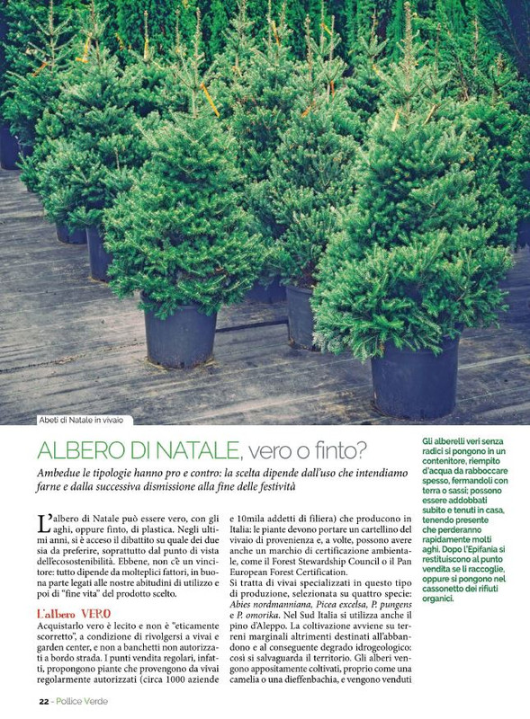 Pol Ver Nov-Dic 2021 (5)