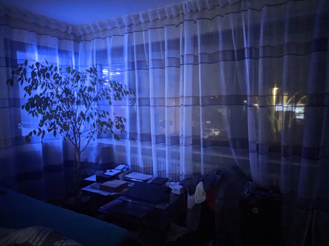 IMG_20211224_235026_tigr