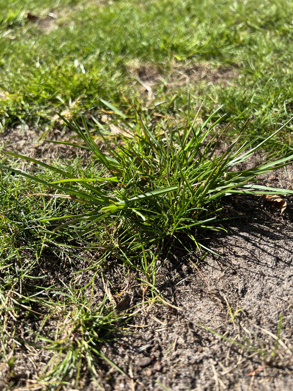 889007DF-378B-4511-9B40-1E0FD1E72854