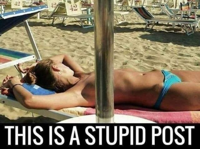 picdump-kw28-2025-073.jpg