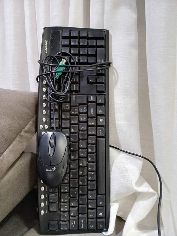 mouse