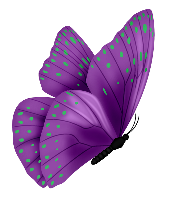 PeacockDreams_MM_Element (44)