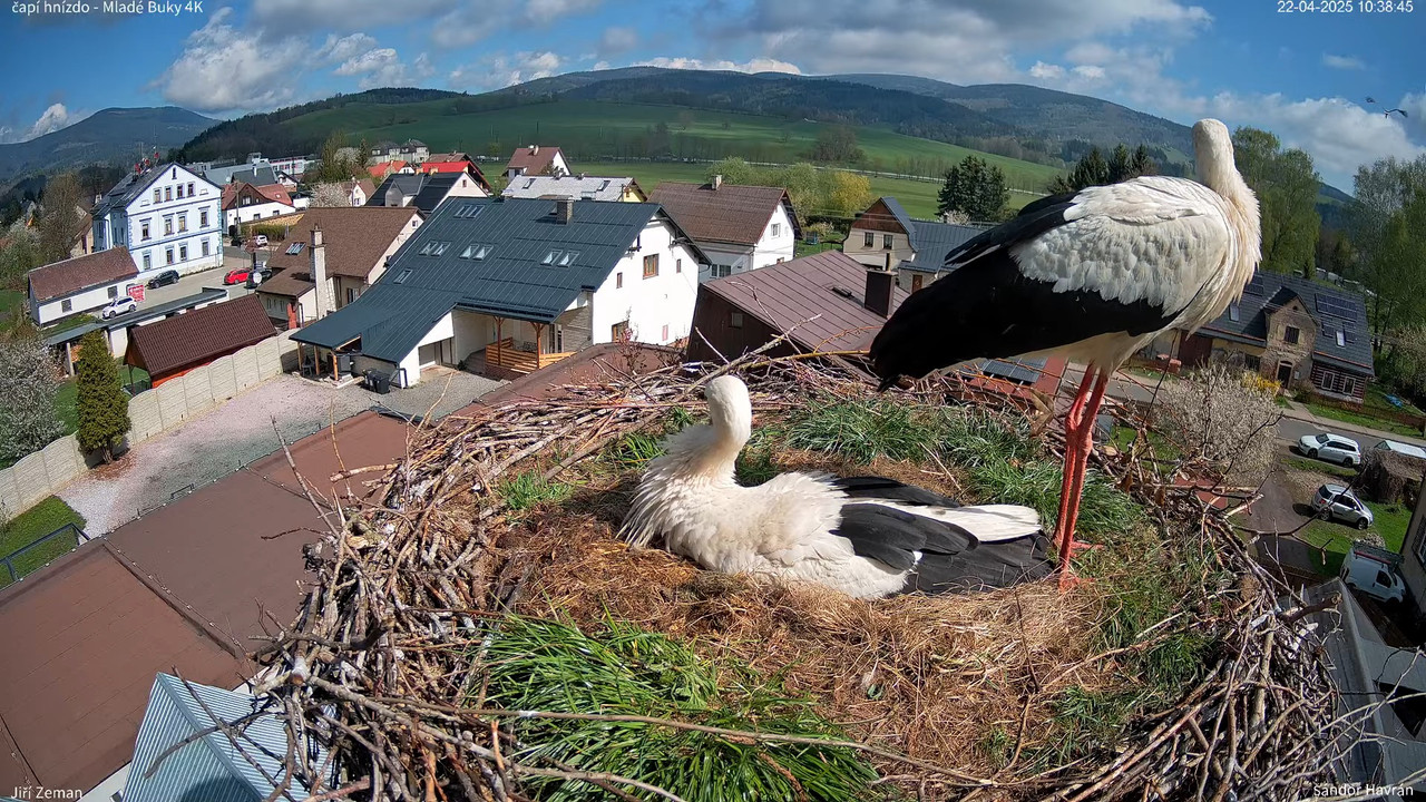 Tiešraides kamera — Mladé Buky — stārķa ligzda 4K 16-13-55 screenshot