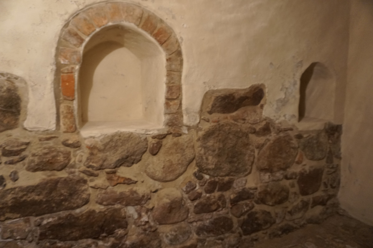 20.23 - DSC08086 (zbychowiec)