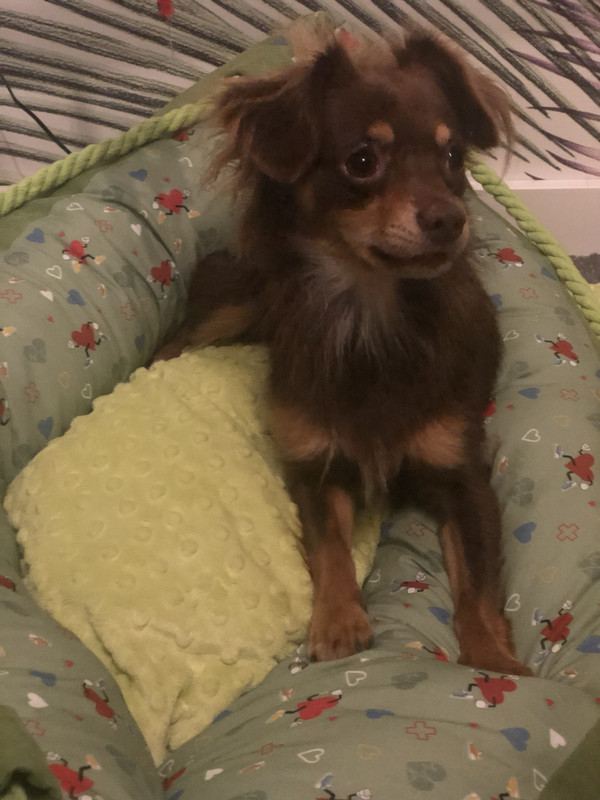 AA20D005-F4E1-42F5-8E12-78DD90EB96A6