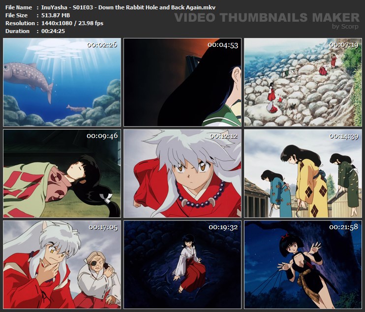 InuYasha - S01E03 - Down the Rabbit Hole and Back Again.mkv