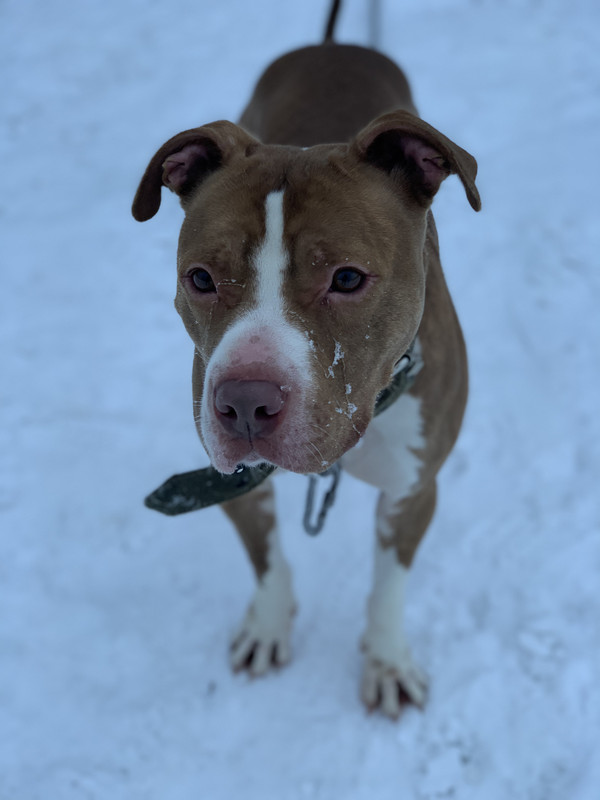 545D5572-7092-416D-B047-3951739C59AC