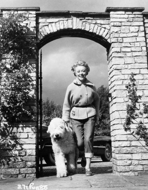 glynis_johns_b48