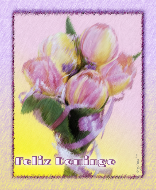 Ramo de Tulipanes Bicolor  Domingo