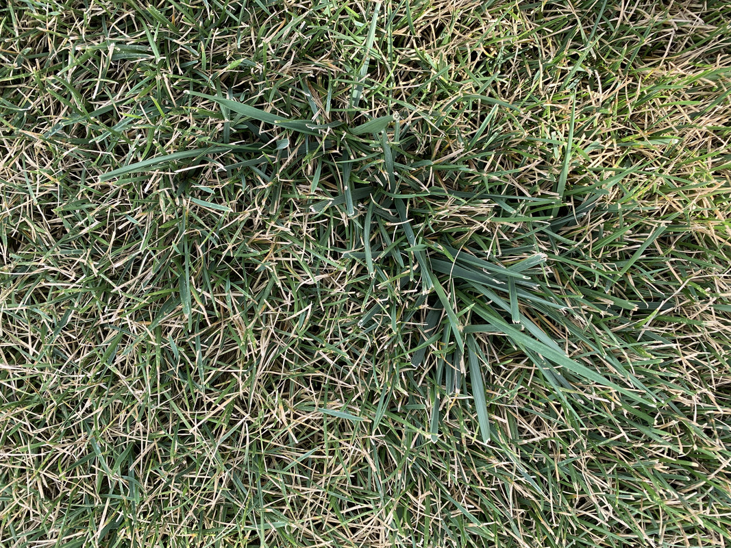 9817822D-985F-4B1A-B4F9-A6ABCEC8DACD