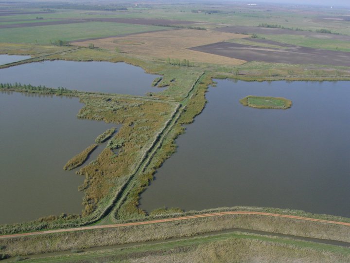 Jászkiséri halastavak 2