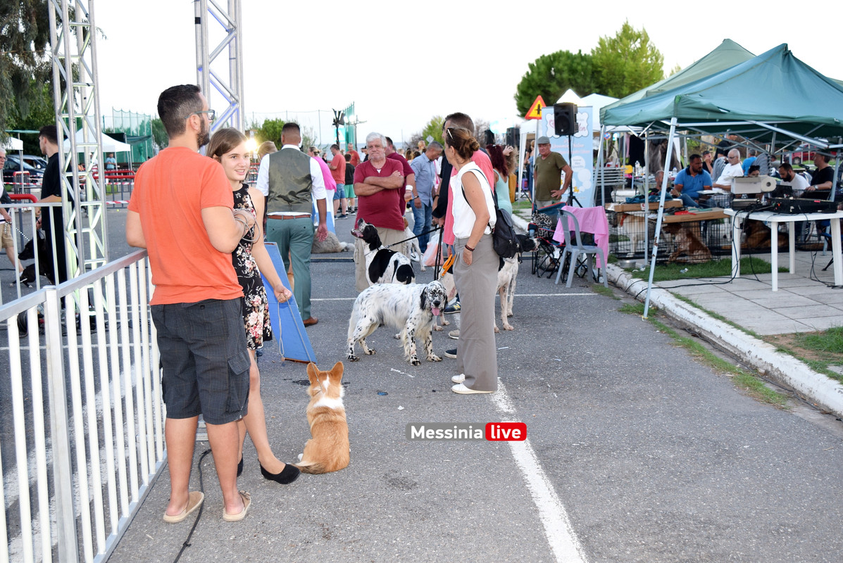 παρκο σκυλιαDSC_0982