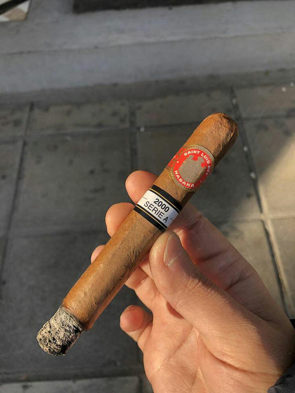 IMG-d81ec4257647932c11c1bf5adaa852b4-V