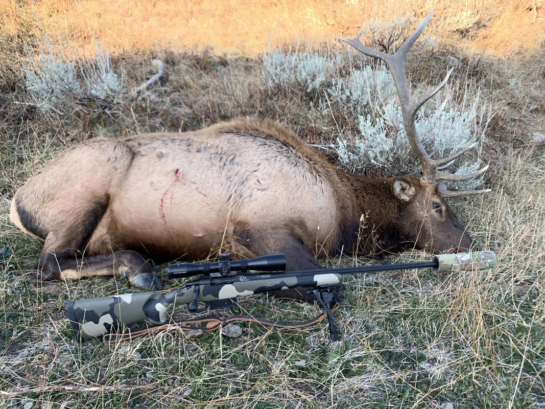 8F6584B6-8F7B-4F51-AAB9-18301D6E8F7D