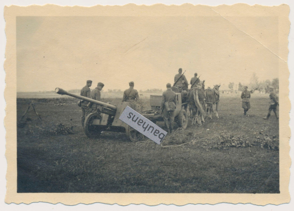 Foto 7,5-cm-Panzerabwehrkanone 40 (PaK 40) Pferdegespann 2.WK