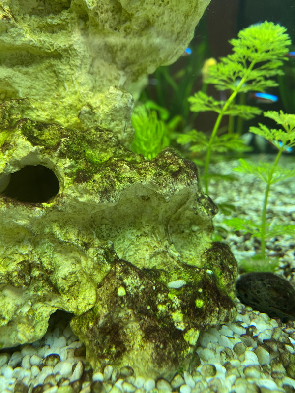 E2BA1D16-A501-4530-A690-0715953A8FCC