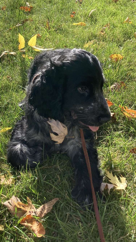 IMG-f673b1ba0d854d4a3edb21d9231f5785-V