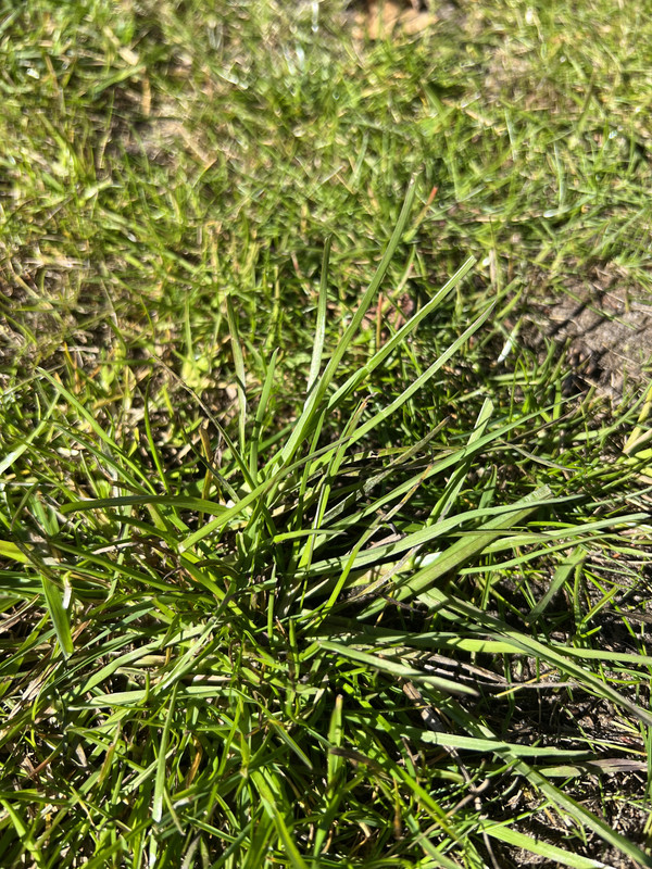 7288B3F2-EB42-4B0D-99B2-9A54EF8F8DA9