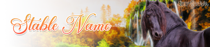 Falls-Banner