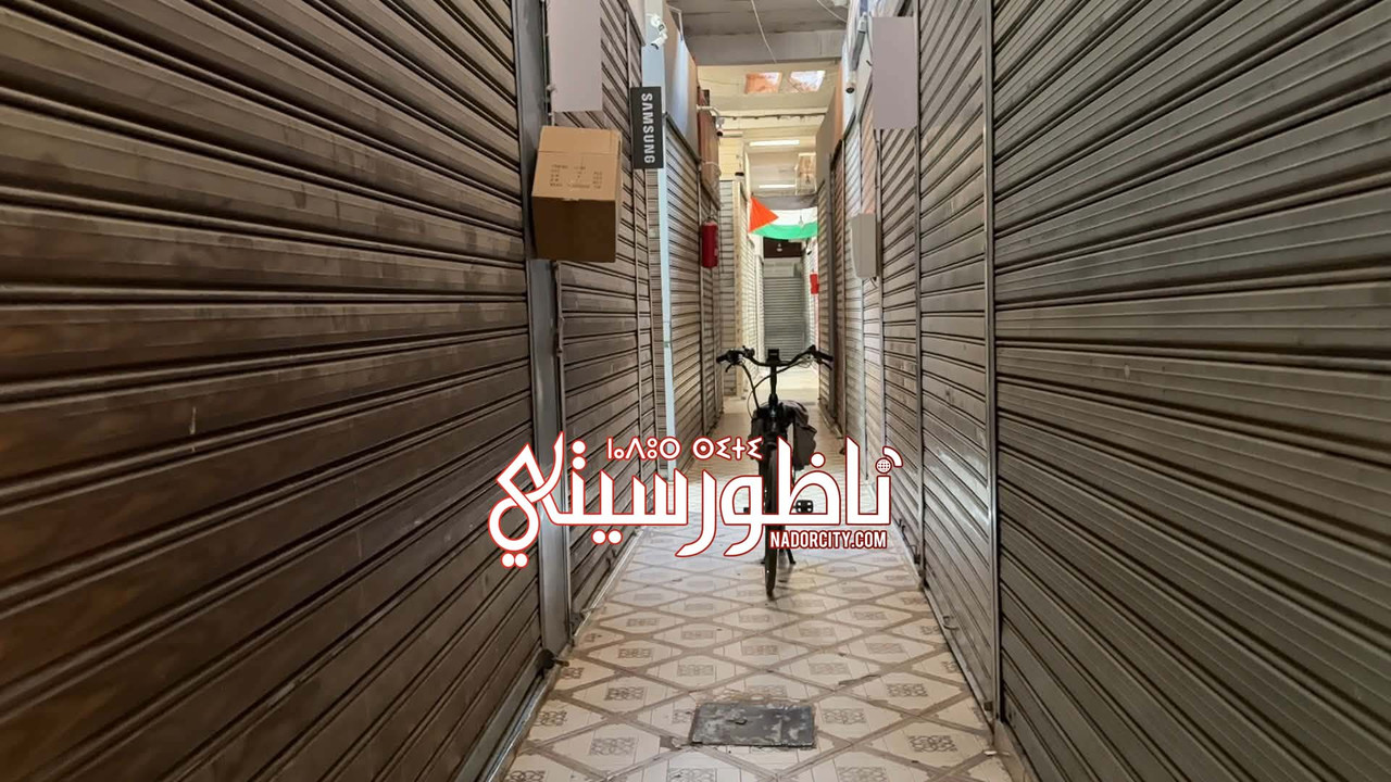 724340196-1152812103730064-5899899198369408636-n