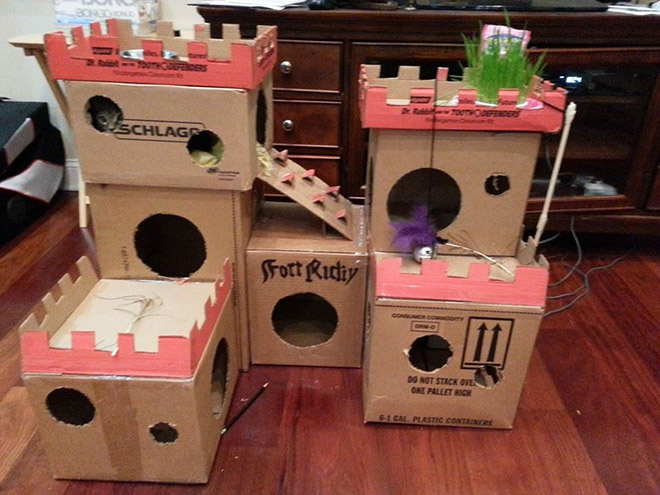 cat-forts9.jpg