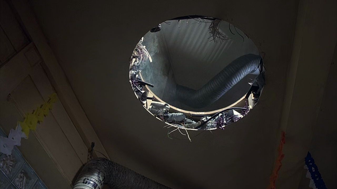 vlcsnap-2021-09-09-15h55m25s916.png