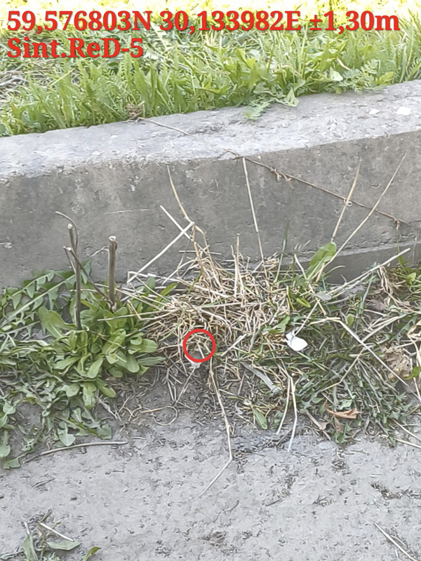 IMG 20260420 145208 030228