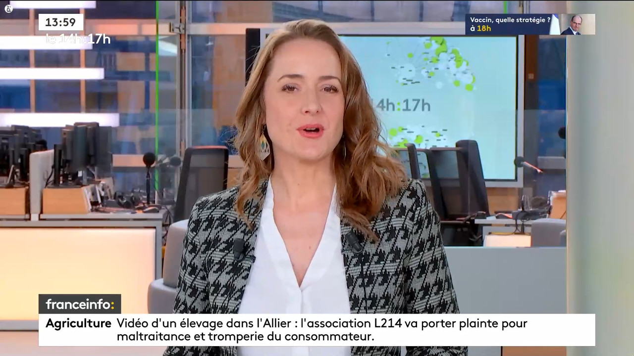 12.03 - 12.59.00 - Le 14h-17h. Au sommaire   Vrai ou fake. - francein....ts_snapshot_00.06.15.486